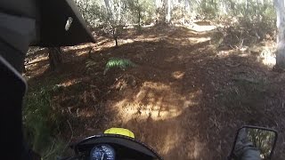 DR650 SINGLE TRACK STRUGGLES [upl. by Alyag]