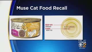 Canned Cat Food Recalled For Rubber Contamination [upl. by Pudendas]