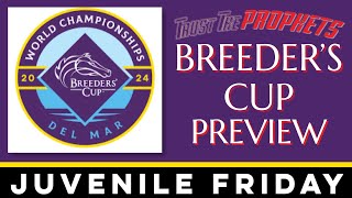 BREEDERS CUP FRIDAY PREVIEW JUVENILE RACES  DEL MAR [upl. by Arihsak84]