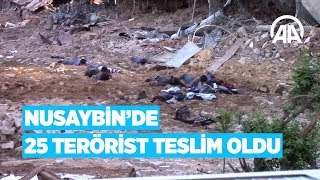 Nusaybinde 25 terörist teslim oldu [upl. by Grata781]