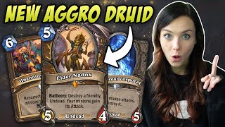 The New Aggro Druid Package is Kinda Nuts  Alliestrasza Hearthstone  March of the Lich King [upl. by Maynord]