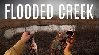 Flooded Creek  Iowa Duck amp Pheasant Hunting [upl. by Jacquenetta]