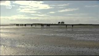 Wadden Sea in 60 secs  UNESCO World Heritage [upl. by Anairo]