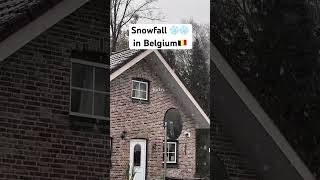 Na first snow fall here in Belgium youtubeshorts shorts ytshorts snowfall belgium highlights [upl. by Halsey682]