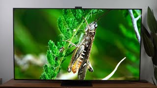 TCL X11 Review  QDMini LED TV with HDR brightness 2000nit [upl. by Ching411]