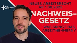 Neues Arbeitsrecht 01082022 Nachweisgesetz Welche Ansprüche haben Arbeitnehmer [upl. by Suillenroc943]