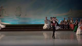 Vladislav Lantratov  Don Quixote Tbilisi Ballet Festival 2017 [upl. by Kristie]