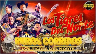 Pur0s C0rrid0s 🔥  Los Tigres de N0rte🤠🔥  Lo Mejor Colección✅Mix Para Pistear 2024🎶🍻 16118 [upl. by Esserac]