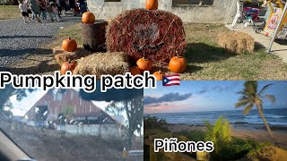 Pumking patch puerto Rico una tarde en piñones [upl. by Stringer]