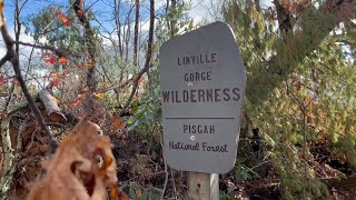 Trails washed out trees down throughout Linville Gorge [upl. by Colley]