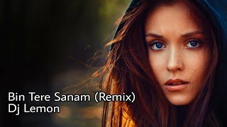 Bin Tere Sanam Remix  Dj Lemon  Yaara Dildara  Udit Narayan  Kavita Krishnamurthy [upl. by Chainey693]