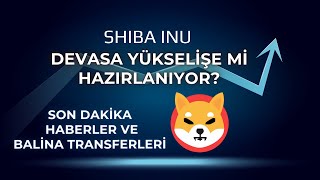 Shiba Inu Son Dakika Haberler  Devasa Yükselişe mi Hazırlanıyor  Balina Transferleri [upl. by Eelyk]