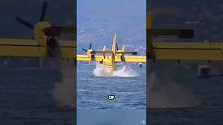 Why Fire Fighter Planes Always Landing on Water  ytshorts youtubeshorts [upl. by Yenmor984]