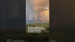 Incendios en Corrientes ya se quemaron más de 3 mil hectáreas [upl. by Anayek971]