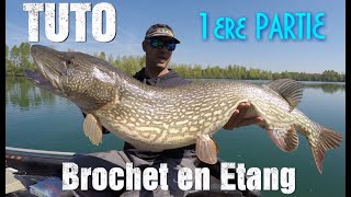 Techniques de pêche du brochet spécial Ouverture et printemps [upl. by Ynad]