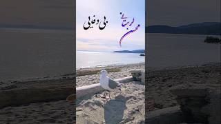 محسن لرستانی، آهنگ quotبی وفاییquot، خواننده ایرانی، Persian Music Mohsen Lorestani Bi Vafaee [upl. by Ddej]