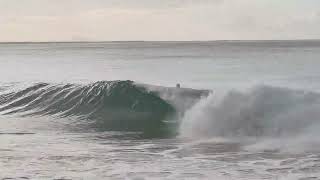 Noosa surf surfing queensland australia surfer afternoon noosa [upl. by Joab]