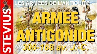 Batailles de lHistoire HS 6  armée macédonienne antigonide [upl. by Azyl]