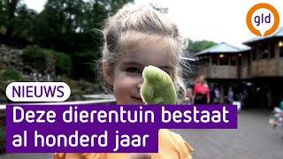 Burgers Zoo is jarig 100 jaar in Arnhem [upl. by Anitnemelc]