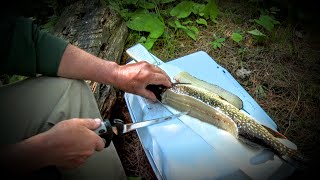 Northern Pike quotYquot Bone Removal  Made Easy [upl. by Salhcin131]