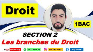 1BAC DROIT  Les branches du Droit [upl. by Haidedej]