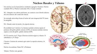 Comprendiendo la Neurología  21 Núcleos basales y tálamo [upl. by Ttik]