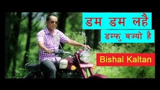 Bishal Kaltan New Song  Dam Dam Lahai Damfu Bajyo hai  Thuli Creation [upl. by Mountfort318]