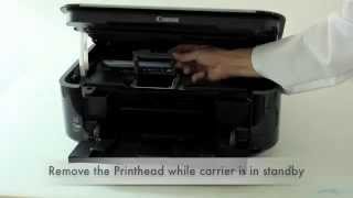 How to clean your printheads for Canon and Epson edible ink printers [upl. by Ariik]