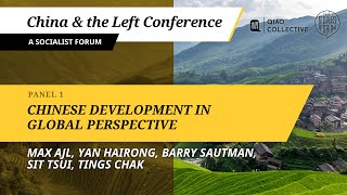 Chinese Development in Global Perspective  China and the Left [upl. by Steve]