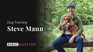 Introducing Dog Training with Steve Mann – BBC Maestro [upl. by Eyla]