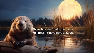 PLEINE LUNE 🌒 Du 15 NOVEMBRE nettoyage cellulaire 🪇🙂‍↔️🫨 [upl. by Saxen404]