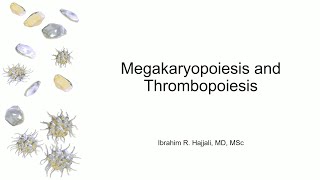 Megakaryopoiesis and Thrombopoiesis [upl. by Rehtaef]