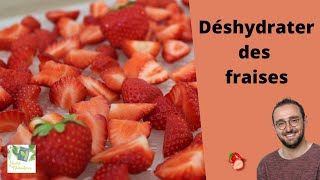 Fraises déshydratées  comment faire [upl. by Dominy]