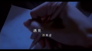 孫燕姿 Sun YanZi  遇見 Encounter official 官方完整版MV [upl. by Kcirdderf]