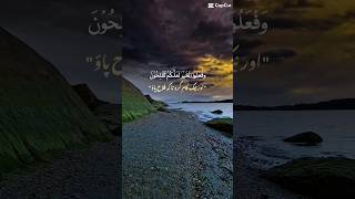 Islamic video Quran recitation 🥰♥️ [upl. by Ennairac]