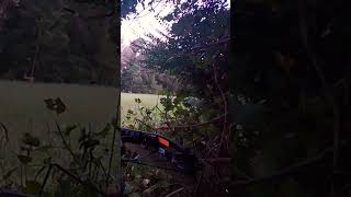 Crossbow hunt 8pt buck amp 2 does archery deer hunting [upl. by Zacarias]