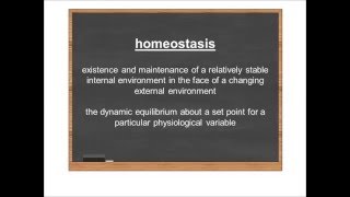 Homeostasis Video 2 Homeostasis Defined [upl. by Tomasz]