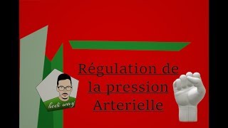 La Régulation de la Pression Artérielle  Bac Tunisie [upl. by Sisco363]