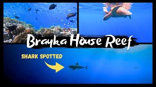 BRAYKA RESORT  SNORKELING 2023  MARSA ALAM [upl. by Lashonda]