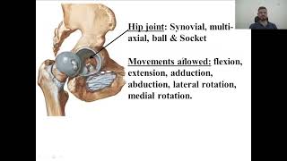 general anatomy practical L2  bones and joints of lower limbs [upl. by Zoie]