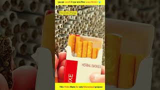 Testing fake Hollywood cigarttes😱 shorts Ytshorts Devendrapratap [upl. by Naihtsirc]