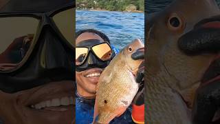 The worst feelings catch me while commercial fishing jamaican [upl. by Sina]