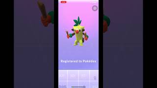 Evolution Grookey  Thwackey  Rillaboom pokemongo Grookey Maxparticles maxout Polemonevolution [upl. by Moncear]