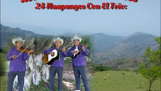 Trío Camperos De Valles 🎻 📀 25 Huapangos [upl. by Kong]