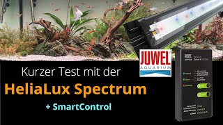 Kurzer Test mit der Juwel HeliaLux Spectrum LED  SmartControl [upl. by Thay]