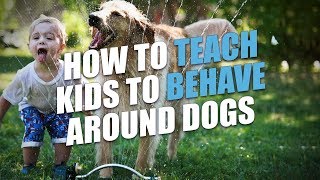 How To Teach Kids To Behave Around Dogs [upl. by Aizan]