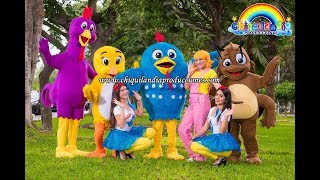 Show Infantil de la Gallina Pintadita  Chiquilandia Producciones [upl. by Lemahs]