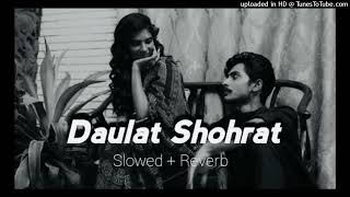 Daulat Shohrat  Kailash Kher  Slowed amp Reverb  Lofi Mix Hindi Song [upl. by Ailices]