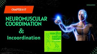 Chapter 17 Neuromuscular Coordination Part 1 kinesiology lectures [upl. by Chic151]