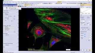 Setting up a Prime BSI Express in Olympus CellSens Software [upl. by Tabbatha853]